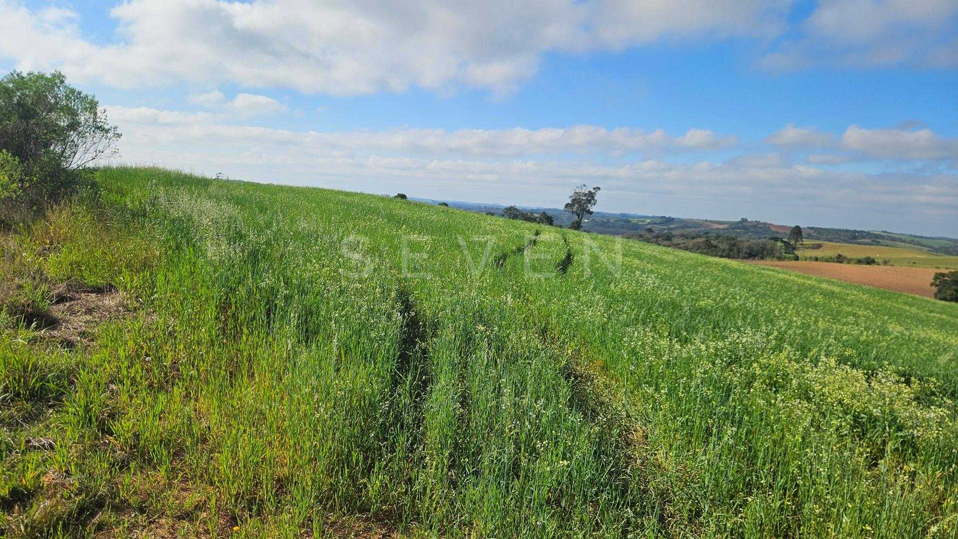 Chácara 20.000m  em Araucária  Frente Asfalto, Vista Linda e Z...