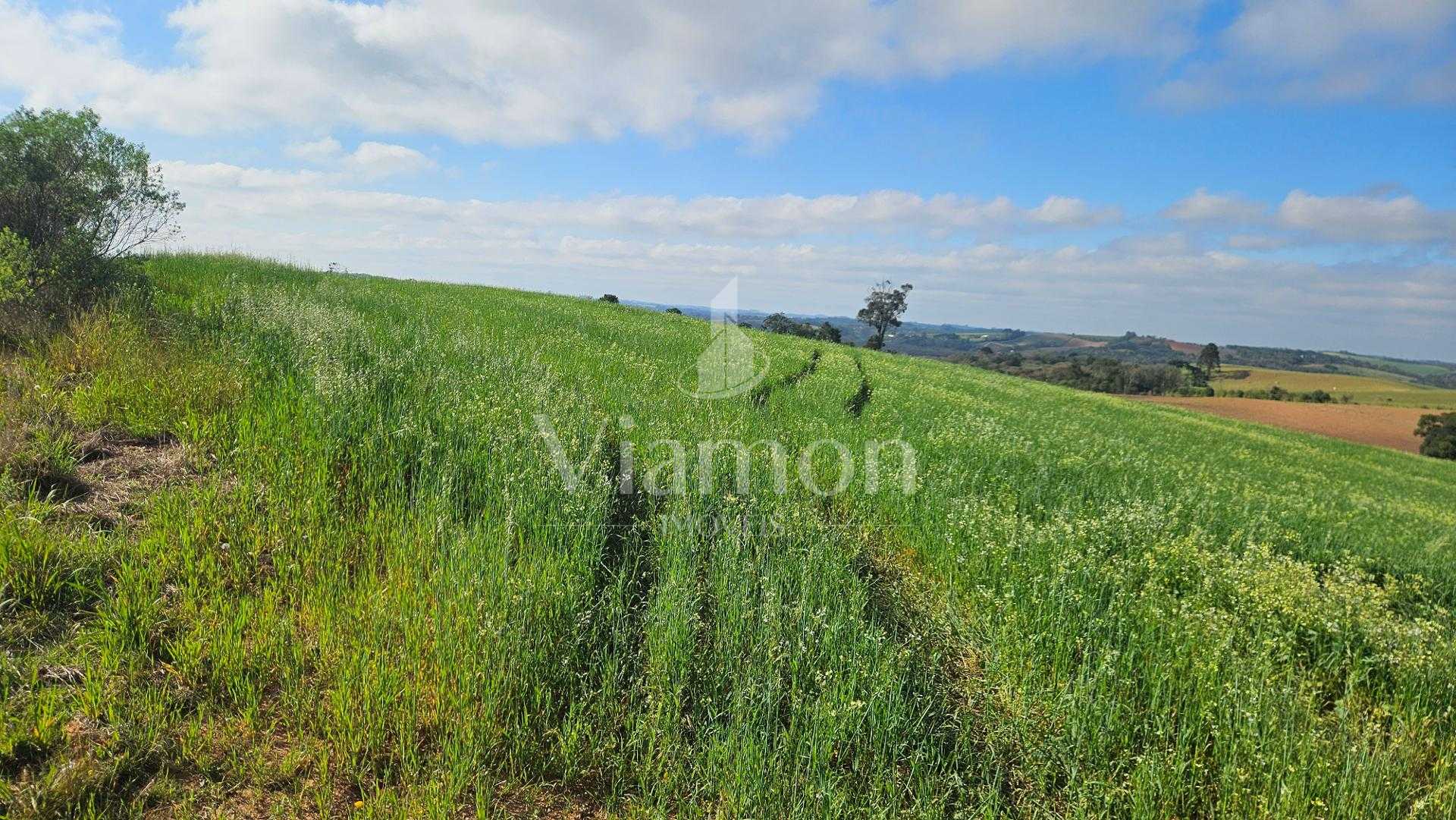 Chácara 20.000m  em Araucária  Frente Asfalto, Vista Linda e Z...