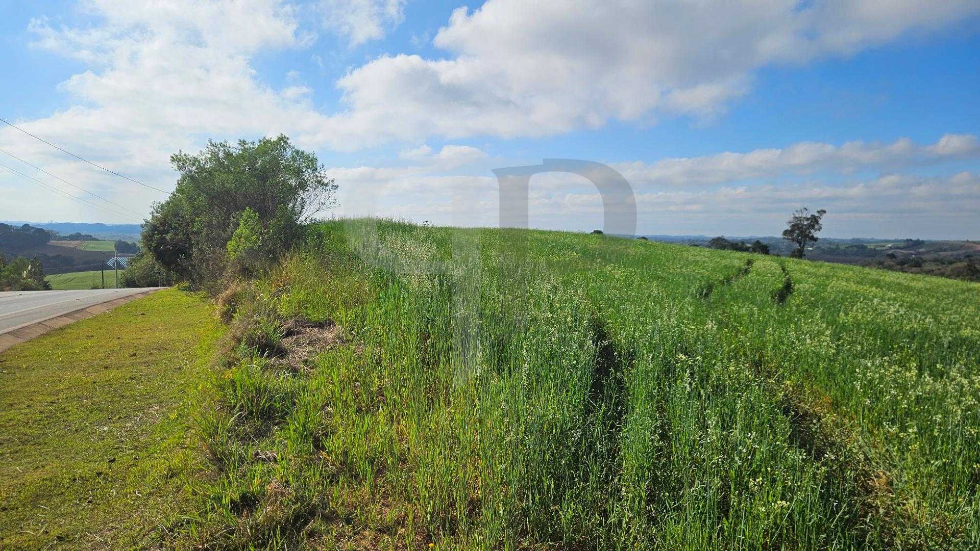 Chácara 20.000m  em Araucária  Frente Asfalto, Vista Linda e Z...