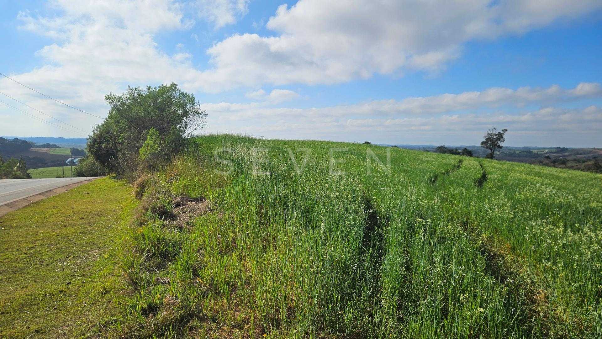 Chácara 20.000m  em Araucária  Frente Asfalto, Vista Linda e Z...