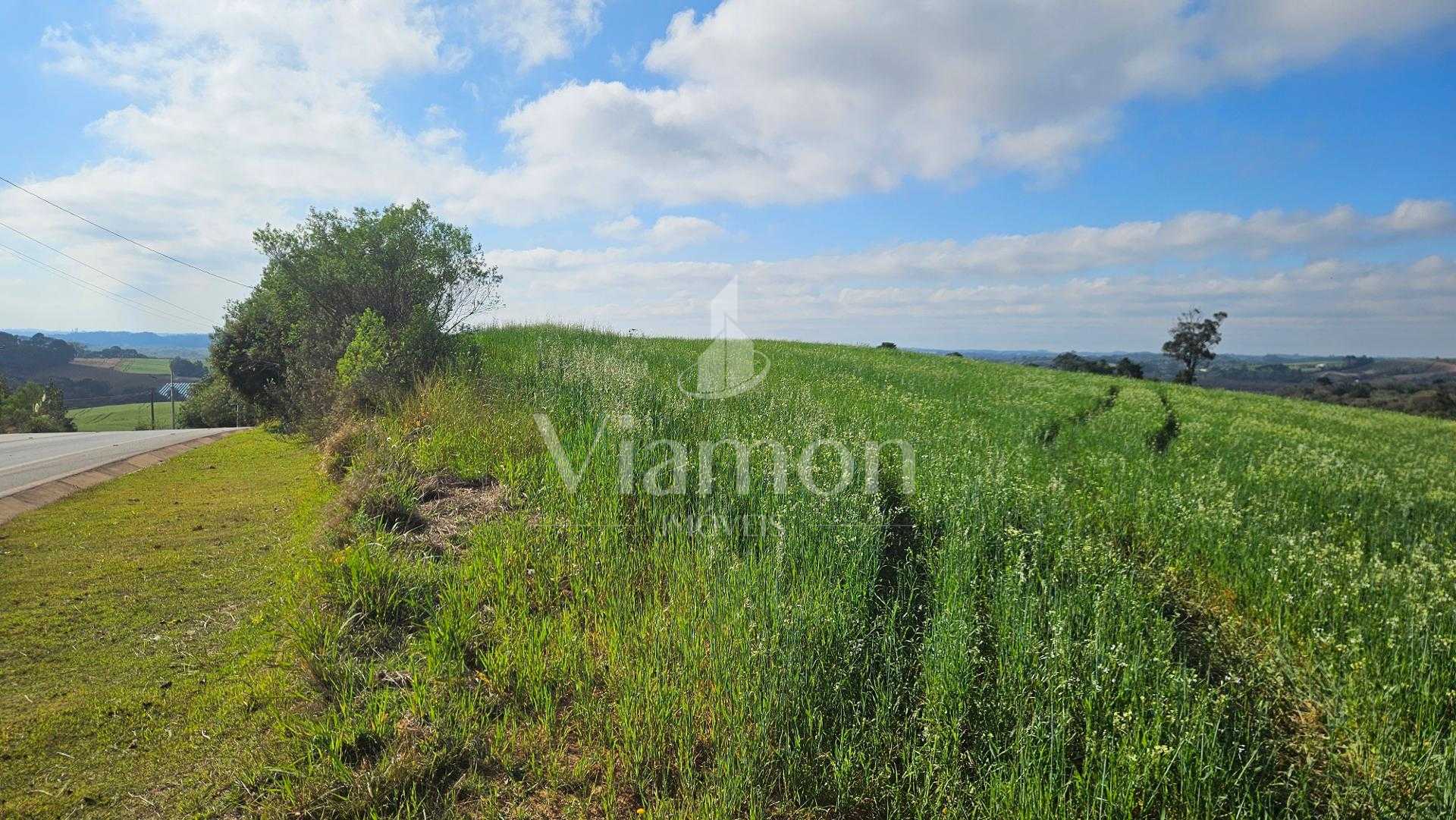 Chácara 20.000m  em Araucária  Frente Asfalto, Vista Linda e Z...