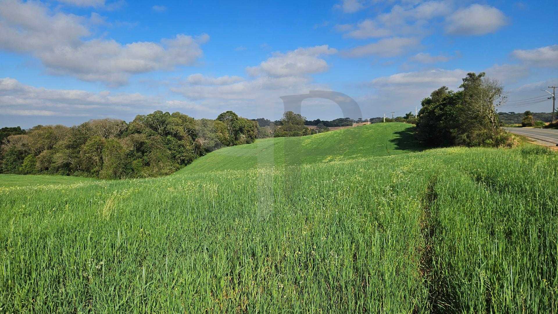Chácara 20.000m  em Araucária  Frente Asfalto, Vista Linda e Z...