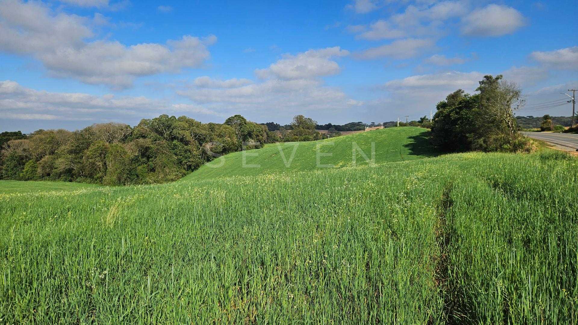 Chácara 20.000m  em Araucária  Frente Asfalto, Vista Linda e Z...