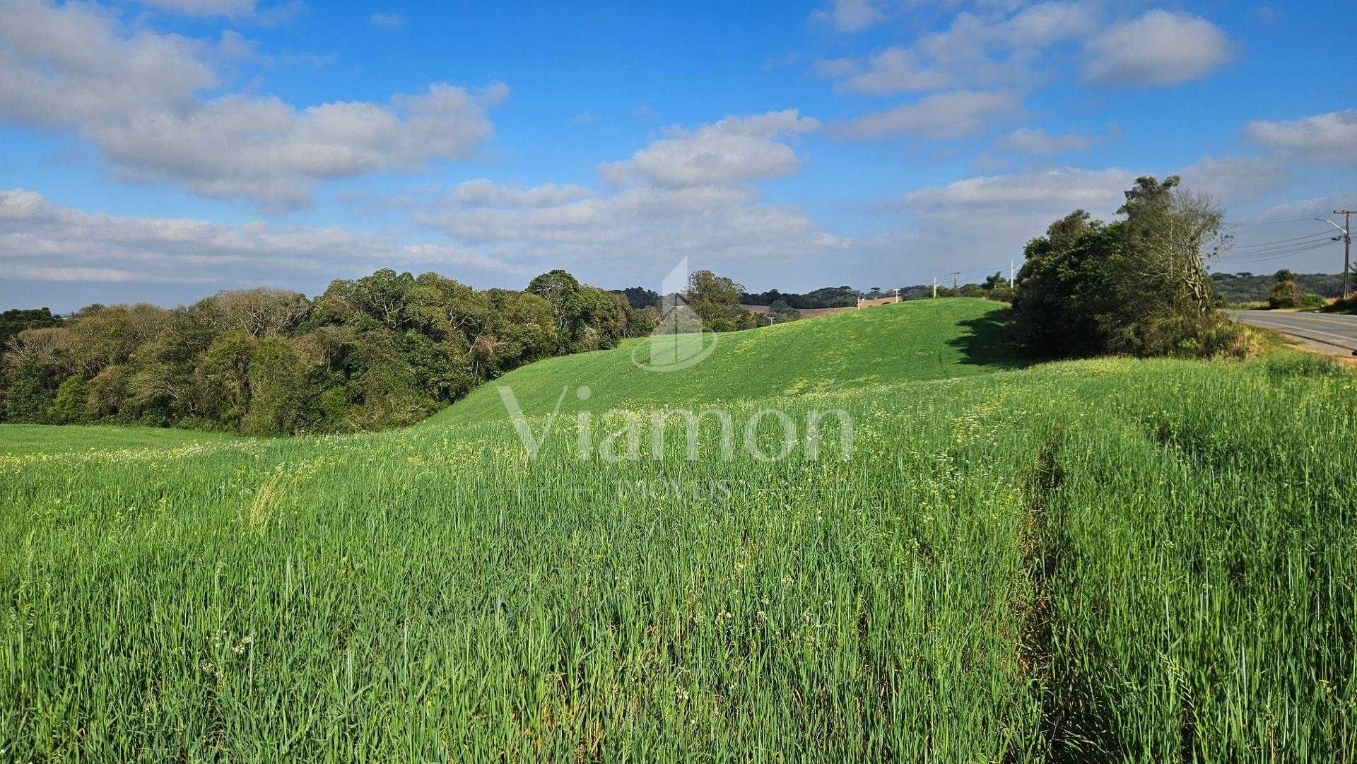 Chácara 20.000m  em Araucária  Frente Asfalto, Vista Linda e Z...