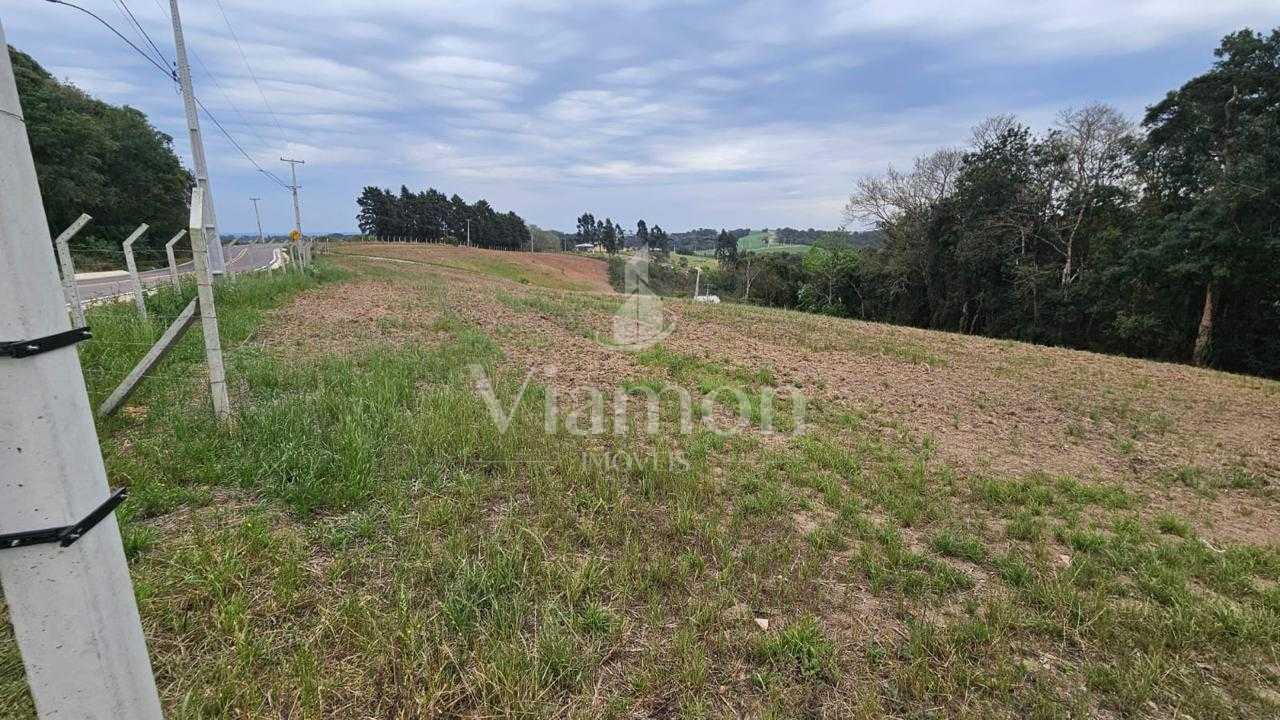 Área de 36.000 m  ideal para formar chácara  frente asfaltada,...