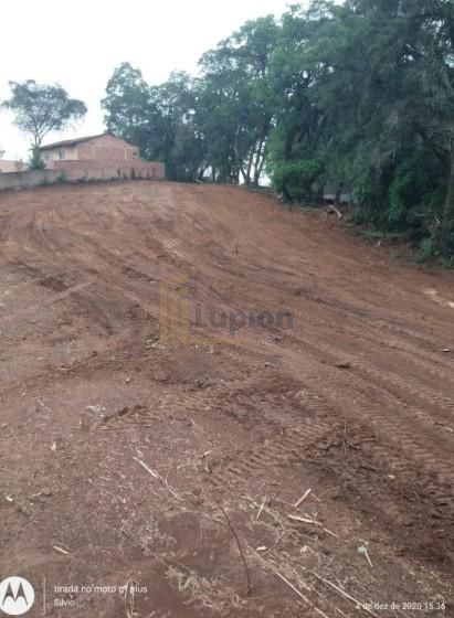 Terreno Premium no Bairro Costeira com Potencial para 180 Apar...
