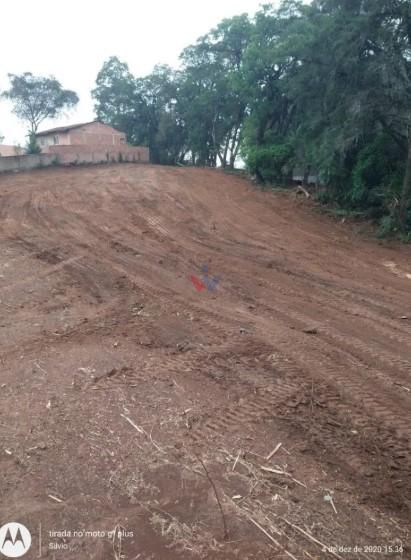 Terreno Premium no Bairro Costeira com Potencial para 180 Apar...