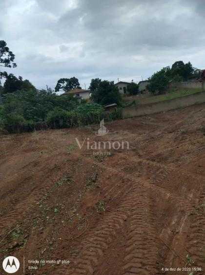 Terreno Premium no Bairro Costeira com Potencial para 180 Apar...