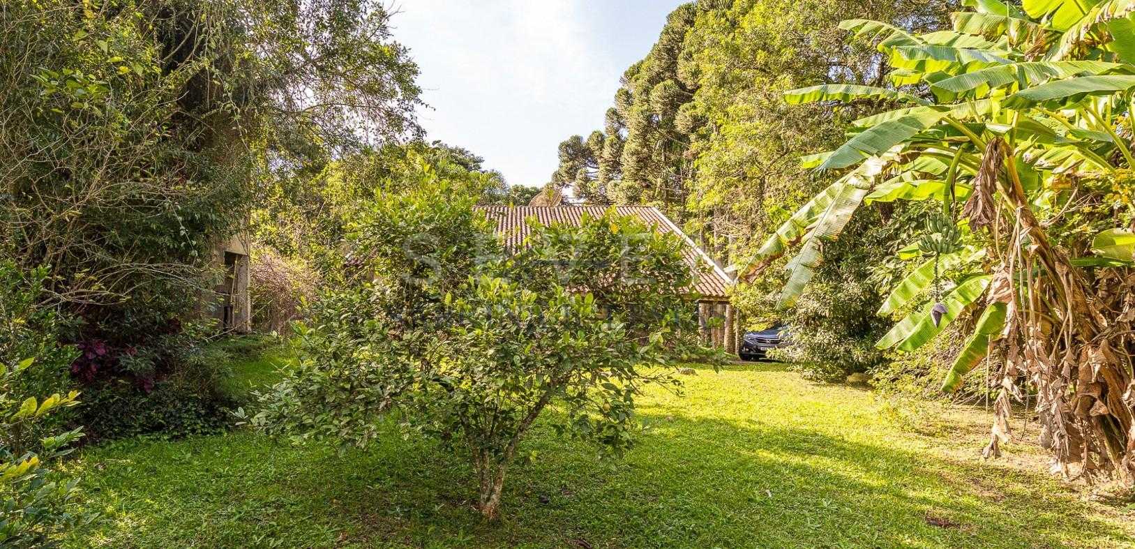 Chácara Charmosa em Pinhais com Casa Principal, Ático e Edícul...