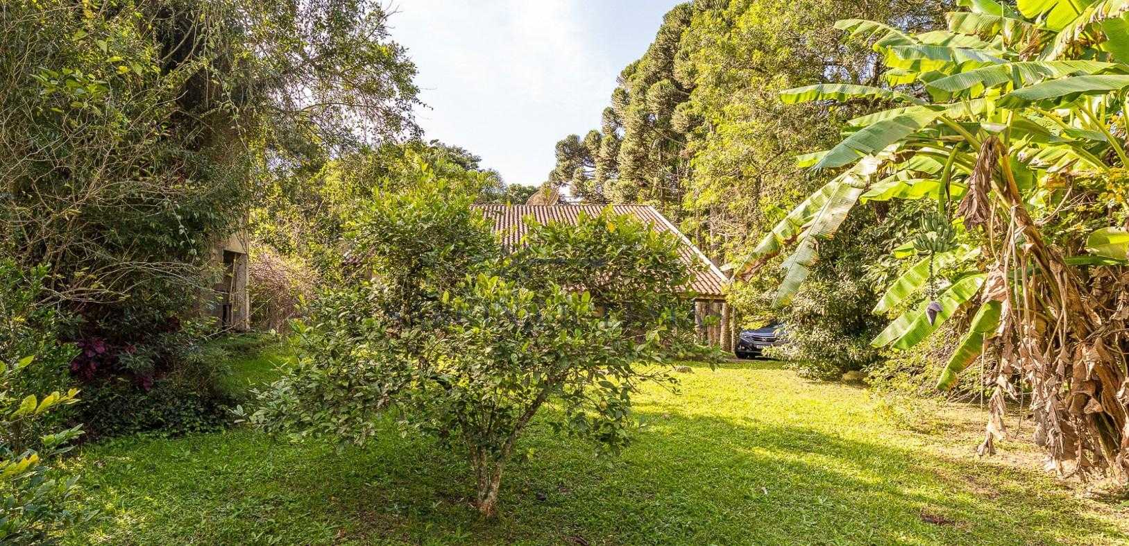 Chácara Charmosa em Pinhais com Casa Principal, Ático e Edícul...
