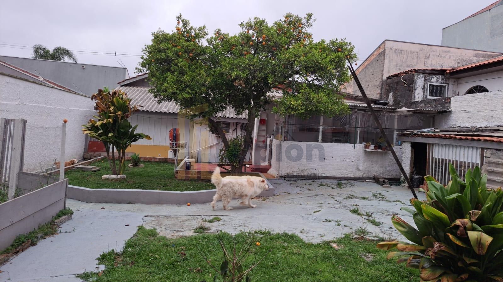 Terreno ZR-4 com 456 m  e excelente testada à venda no Santa C...