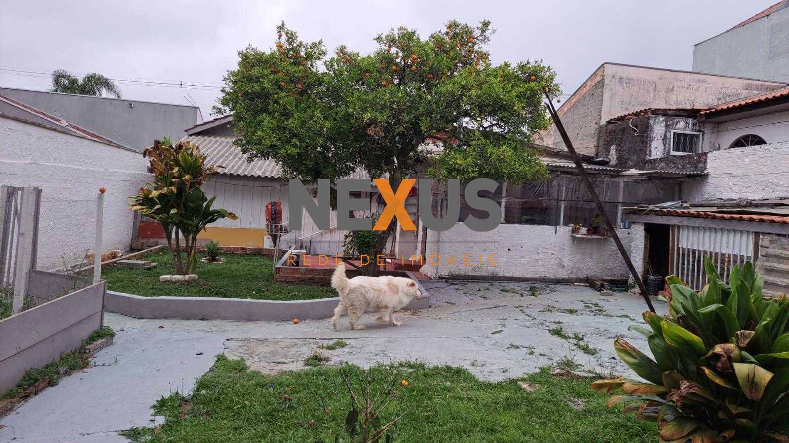 Terreno ZR-4 com 456 m  e excelente testada à venda no Santa C...