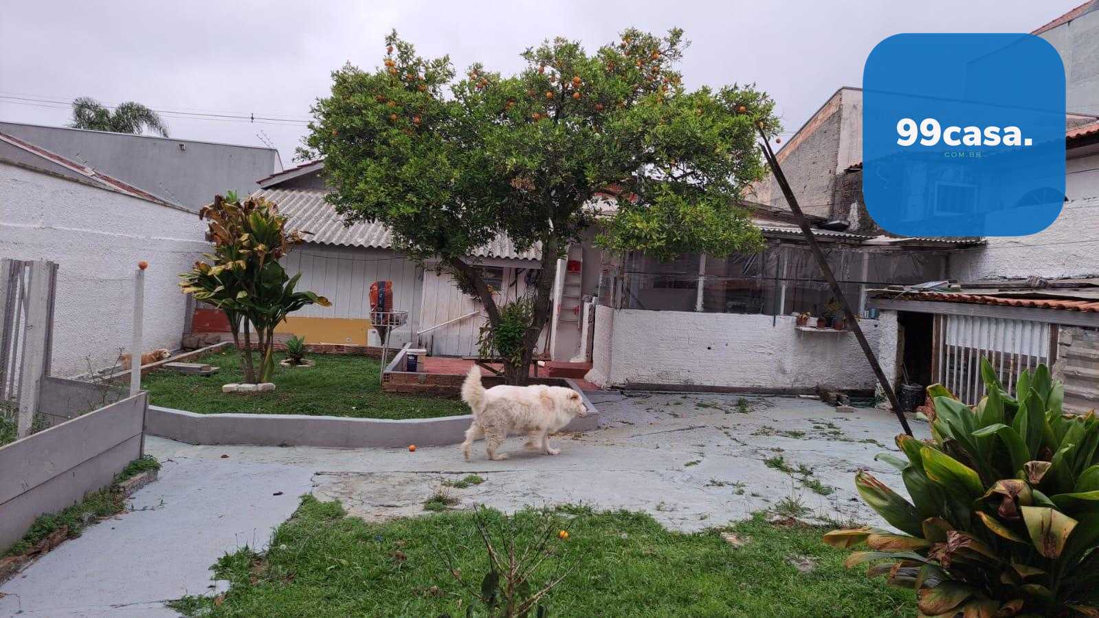 Terreno ZR-4 com 456 m  e excelente testada à venda no Santa C...