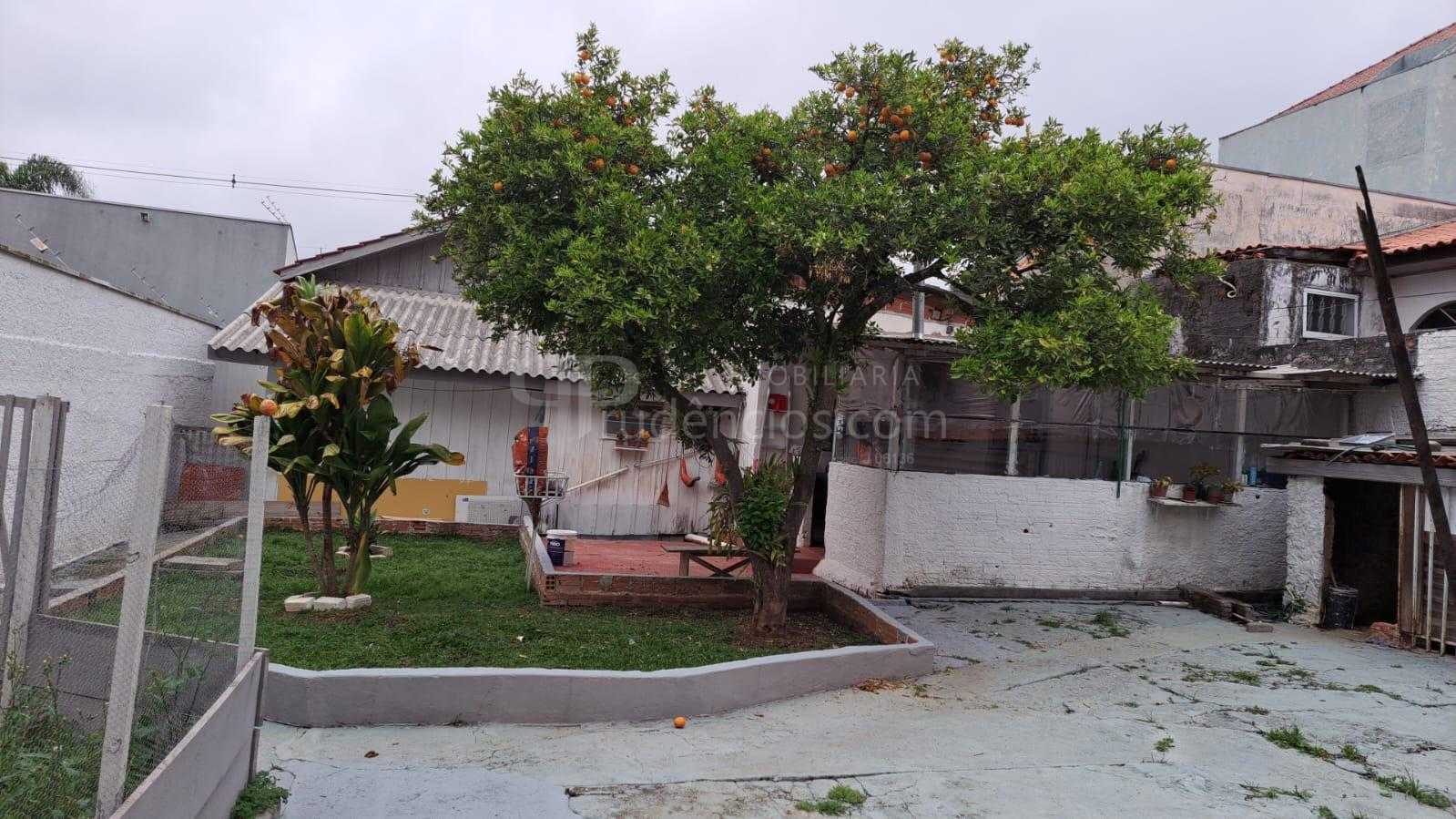 Terreno ZR-4 com 456 m  e excelente testada à venda no Santa C...