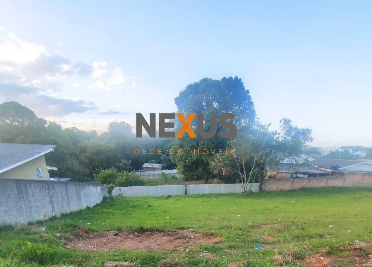 TTerrenos no Campina da Barra  Esquina 657 m  e Lotes 332 m  c...