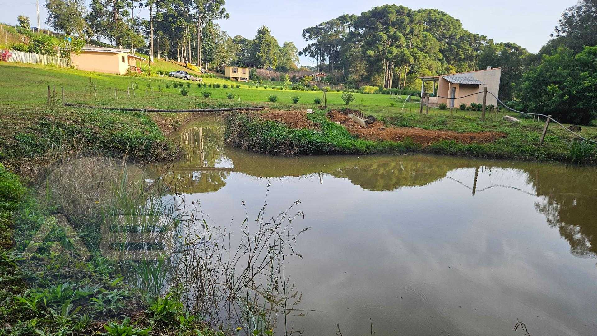 Chácara paradisíaca em Araucária  20.000m  com casa, quiosque ...
