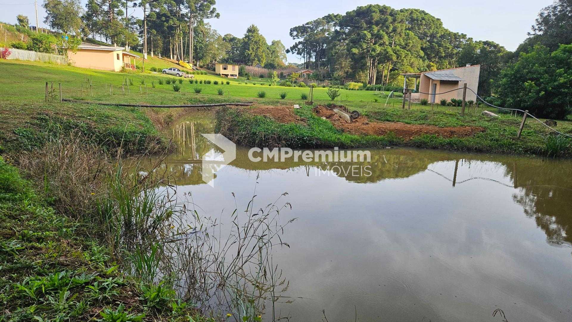 Chácara paradisíaca em Araucária  20.000m  com casa, quiosque ...
