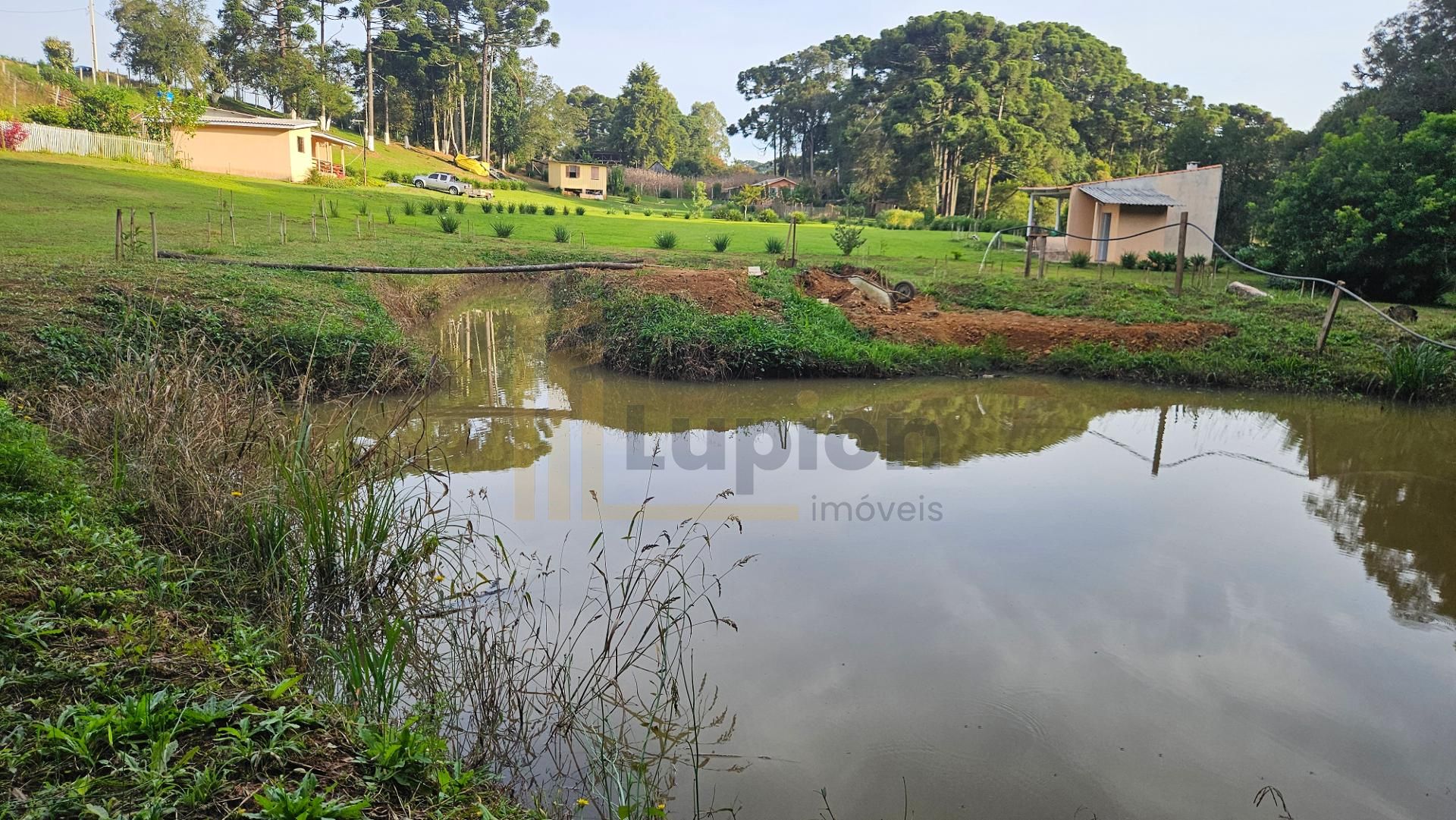 Chácara paradisíaca em Araucária  20.000m  com casa, quiosque ...