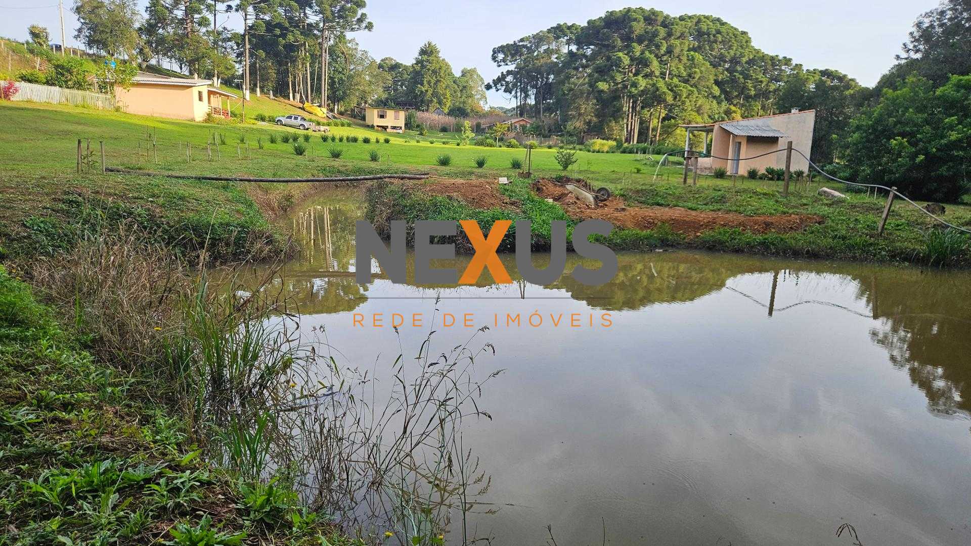 Chácara paradisíaca em Araucária  20.000m  com casa, quiosque ...