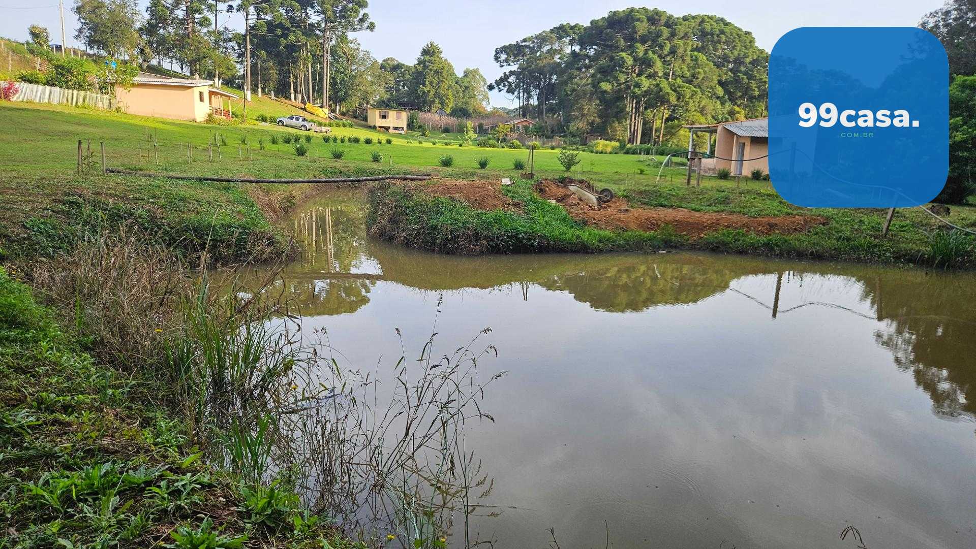 Chácara paradisíaca em Araucária  20.000m  com casa, quiosque ...