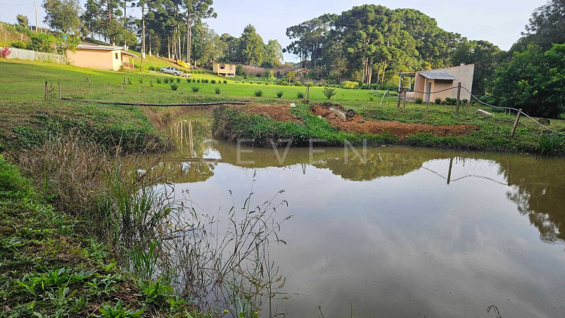 Chácara paradisíaca em Araucária  20.000m  com casa, quiosque ...