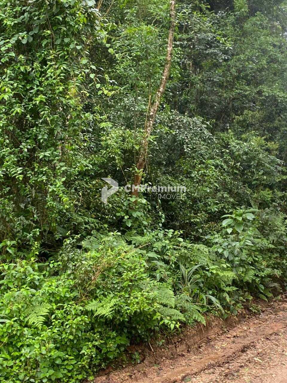 Terreno 20.000 m  no Umbará  Oportunidade Única para Investir ...