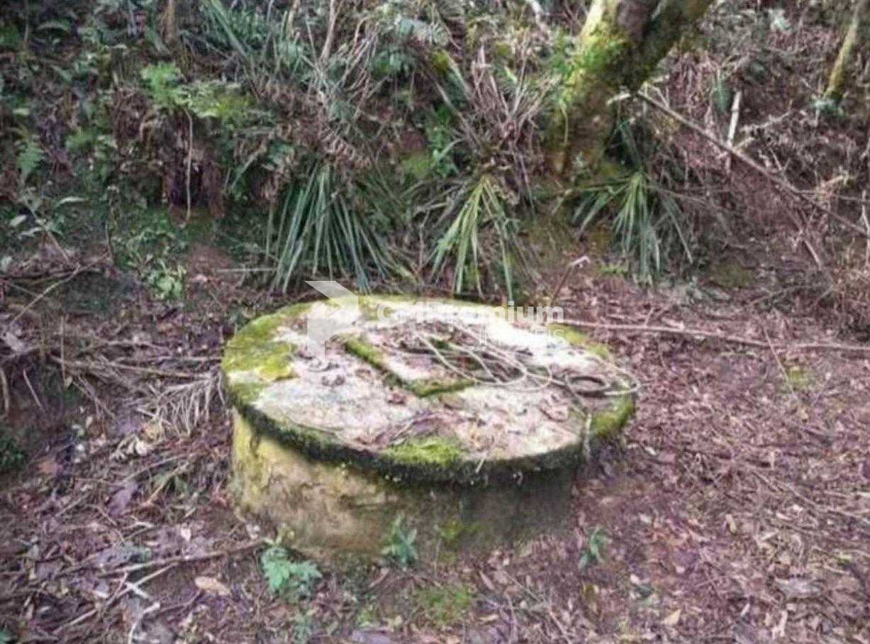 Terreno para Chácara em Mandirituba  6.050 m  Próximo à BR-116