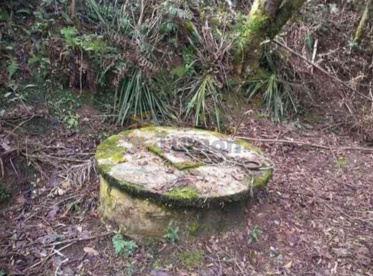 Terreno para Chácara em Mandirituba  6.050 m  Próximo à BR-116