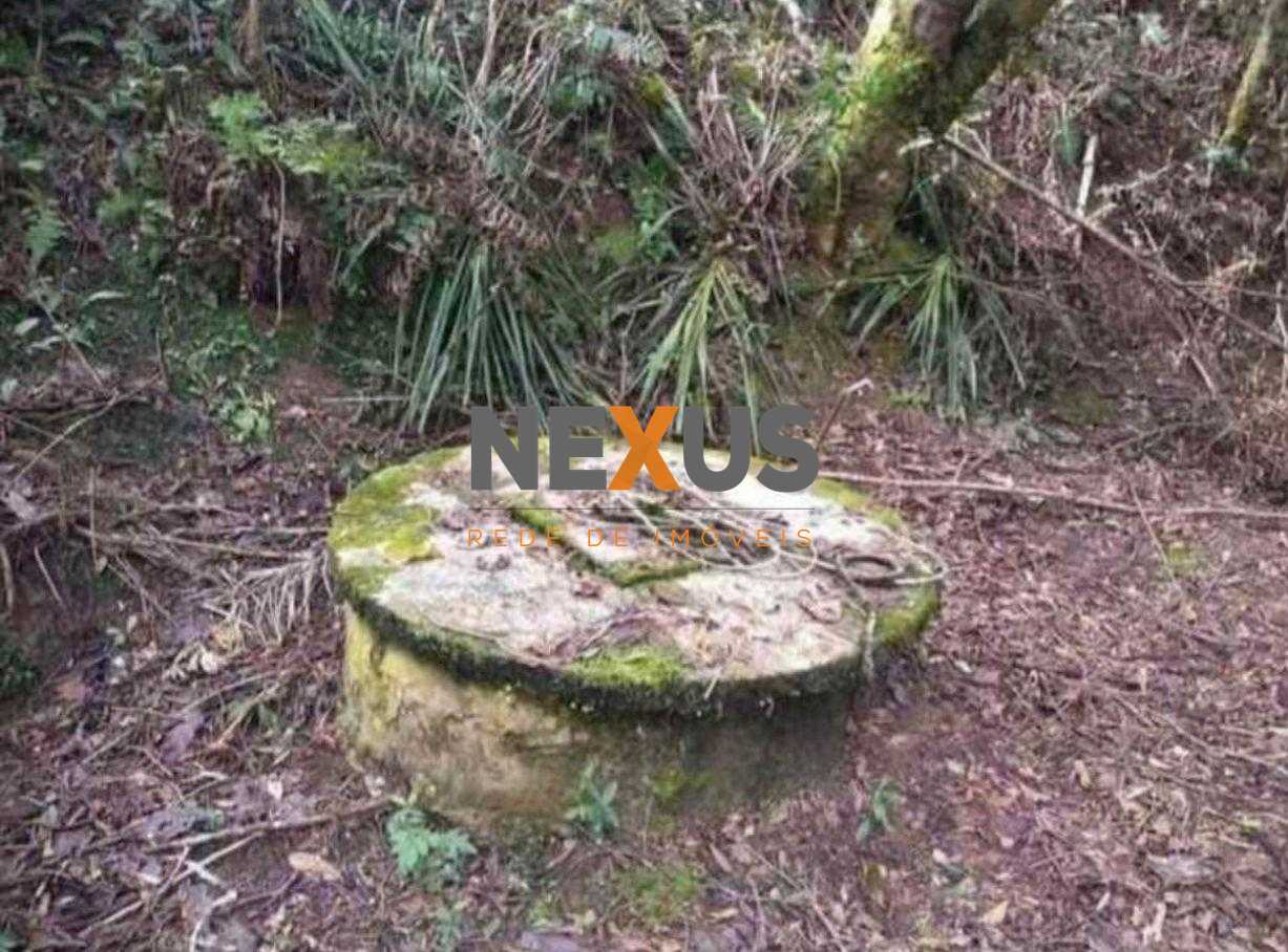 Terreno para Chácara em Mandirituba  6.050 m  Próximo à BR-116