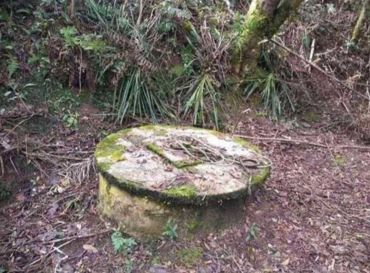 Terreno para Chácara em Mandirituba  6.050 m  Próximo à BR-116