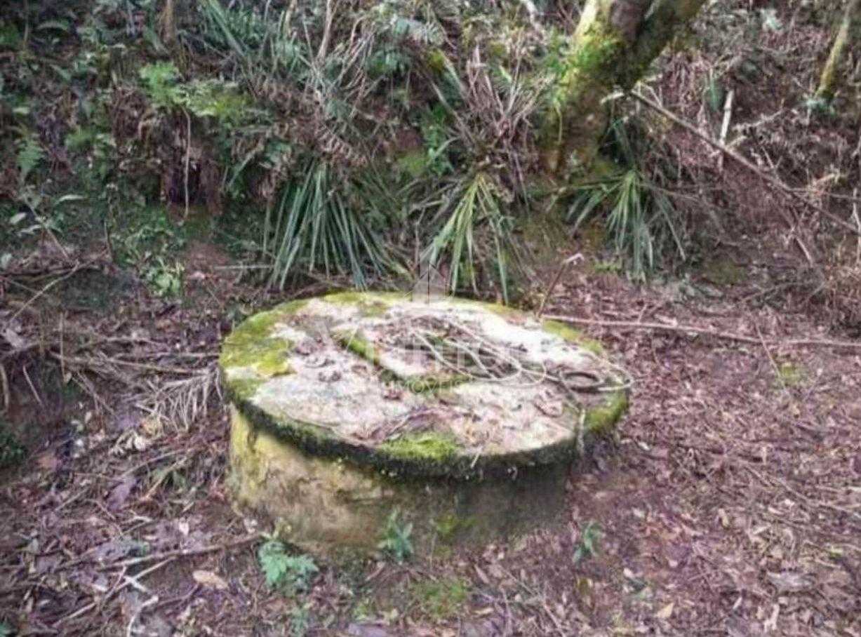 Terreno para Chácara em Mandirituba  6.050 m  Próximo à BR-116