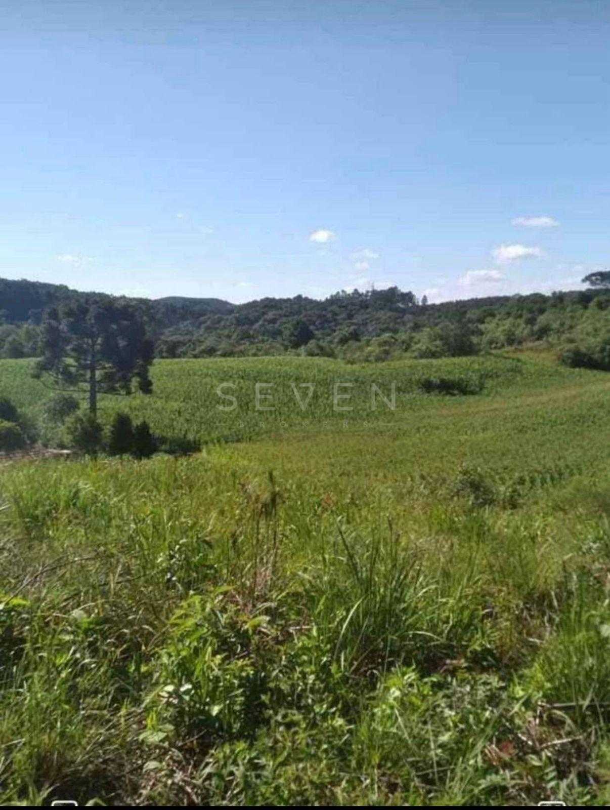 Terreno para Chácara em Mandirituba  6.050 m  Próximo à BR-116