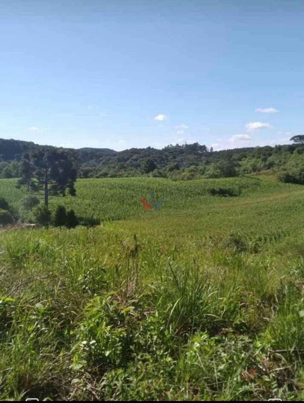 Terreno para Chácara em Mandirituba  6.050 m  Próximo à BR-116