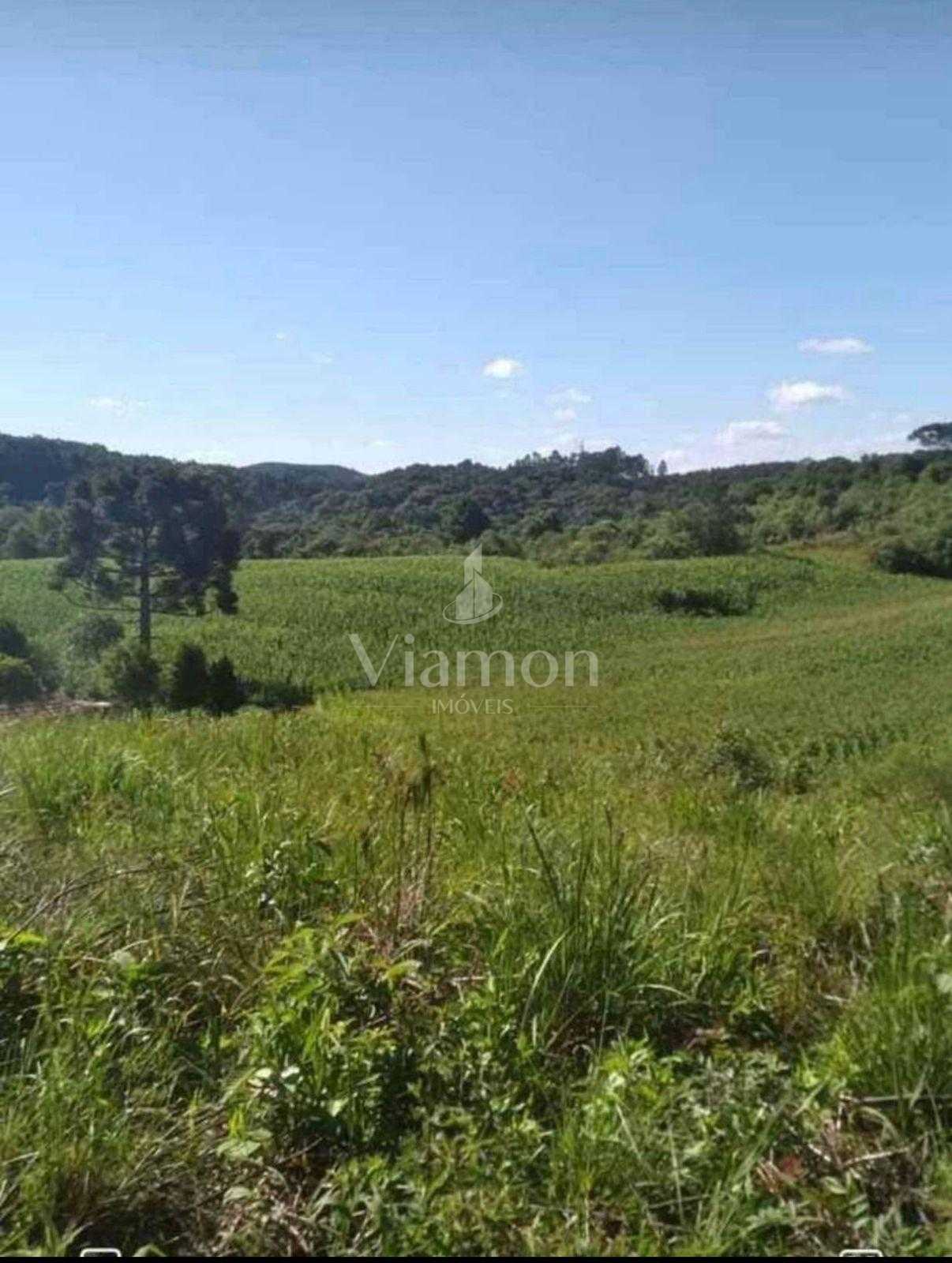 Terreno para Chácara em Mandirituba  6.050 m  Próximo à BR-116