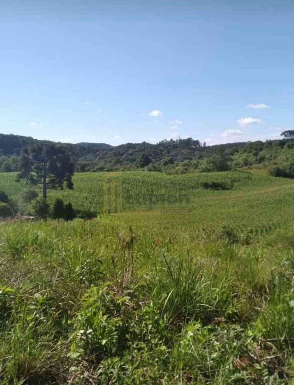 Terreno para Chácara em Mandirituba  6.050 m  Próximo à BR-116