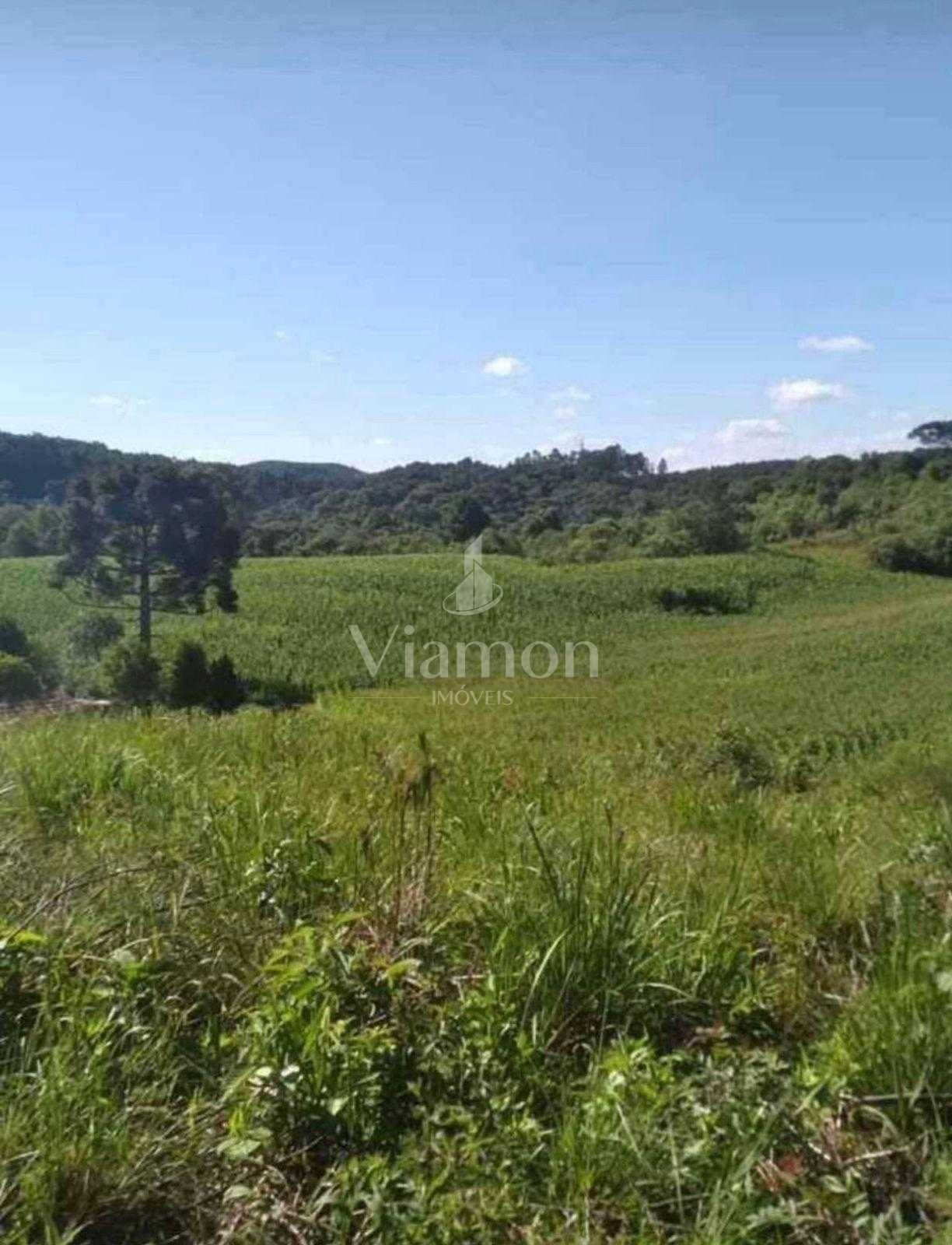 Terreno para Chácara em Mandirituba  6.050 m  Próximo à BR-116