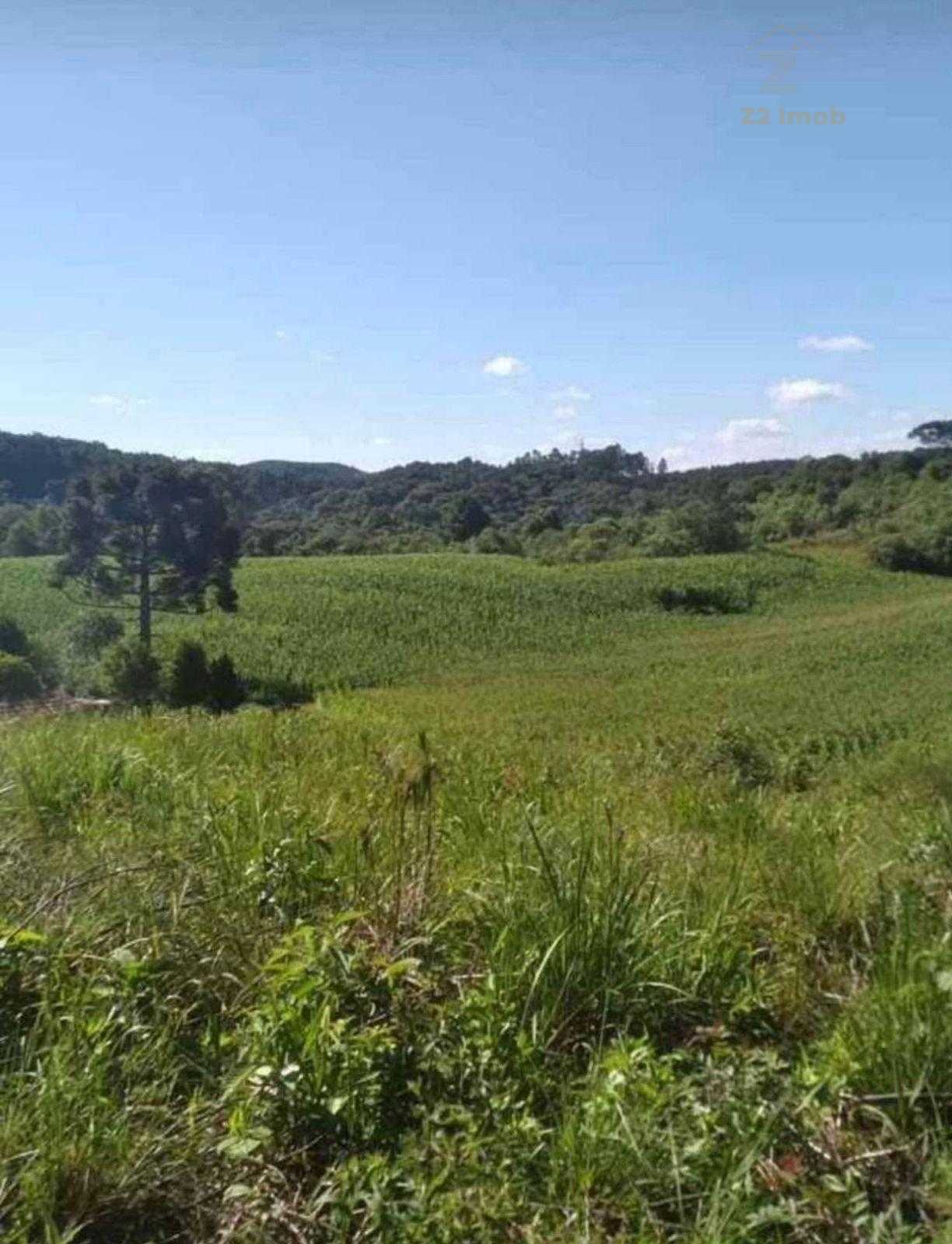 Terreno para Chácara em Mandirituba  6.050 m  Próximo à BR-116