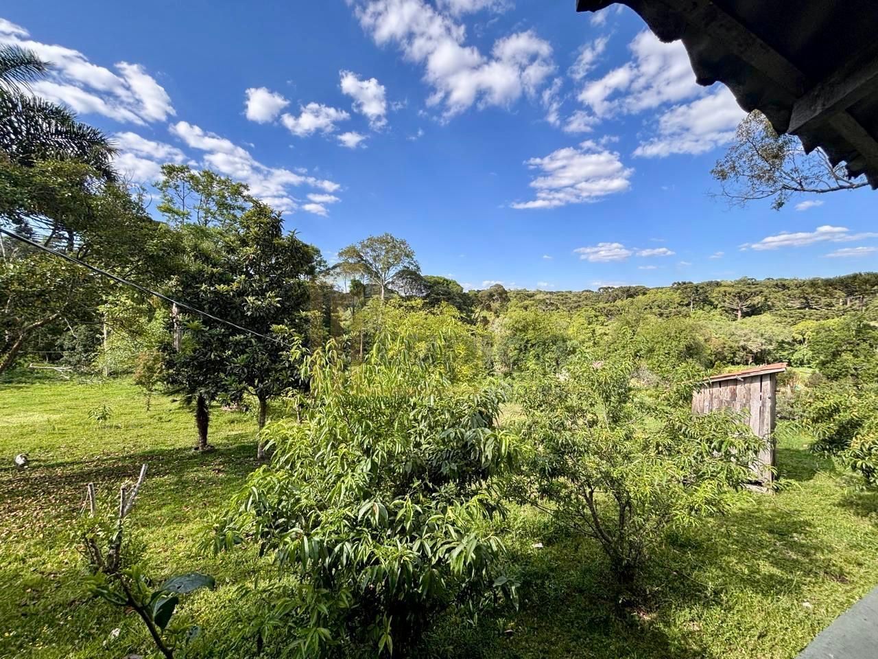 Chácara à Venda em Contenda PR com Piscina, Tanque de Peixes e...