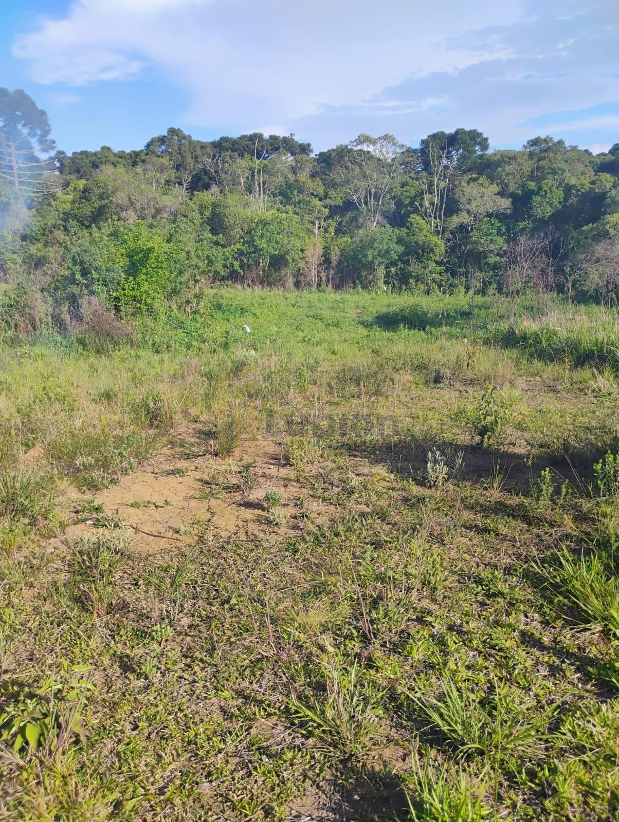 Terreno à venda em Quitandinha com 420,54 m  em Campina dos Pr...