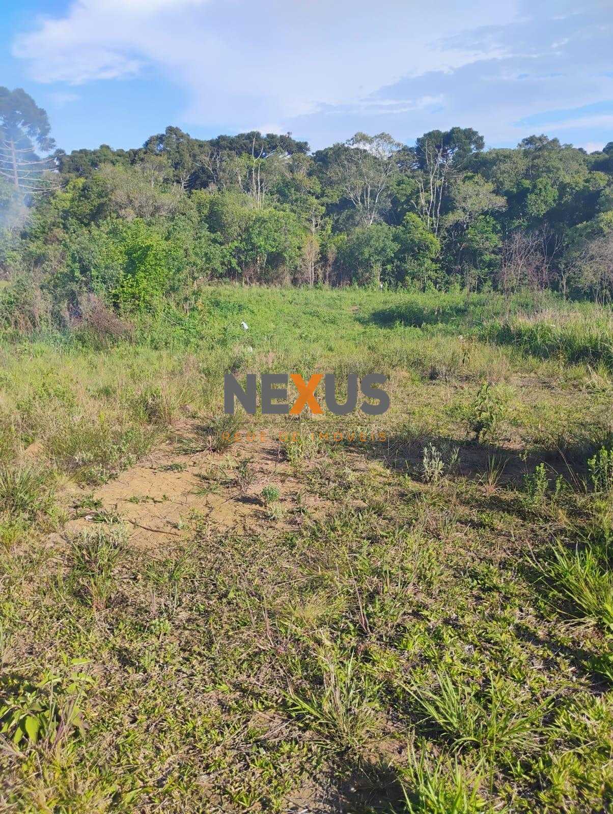 Terreno à venda em Quitandinha com 420,54 m  em Campina dos Pr...