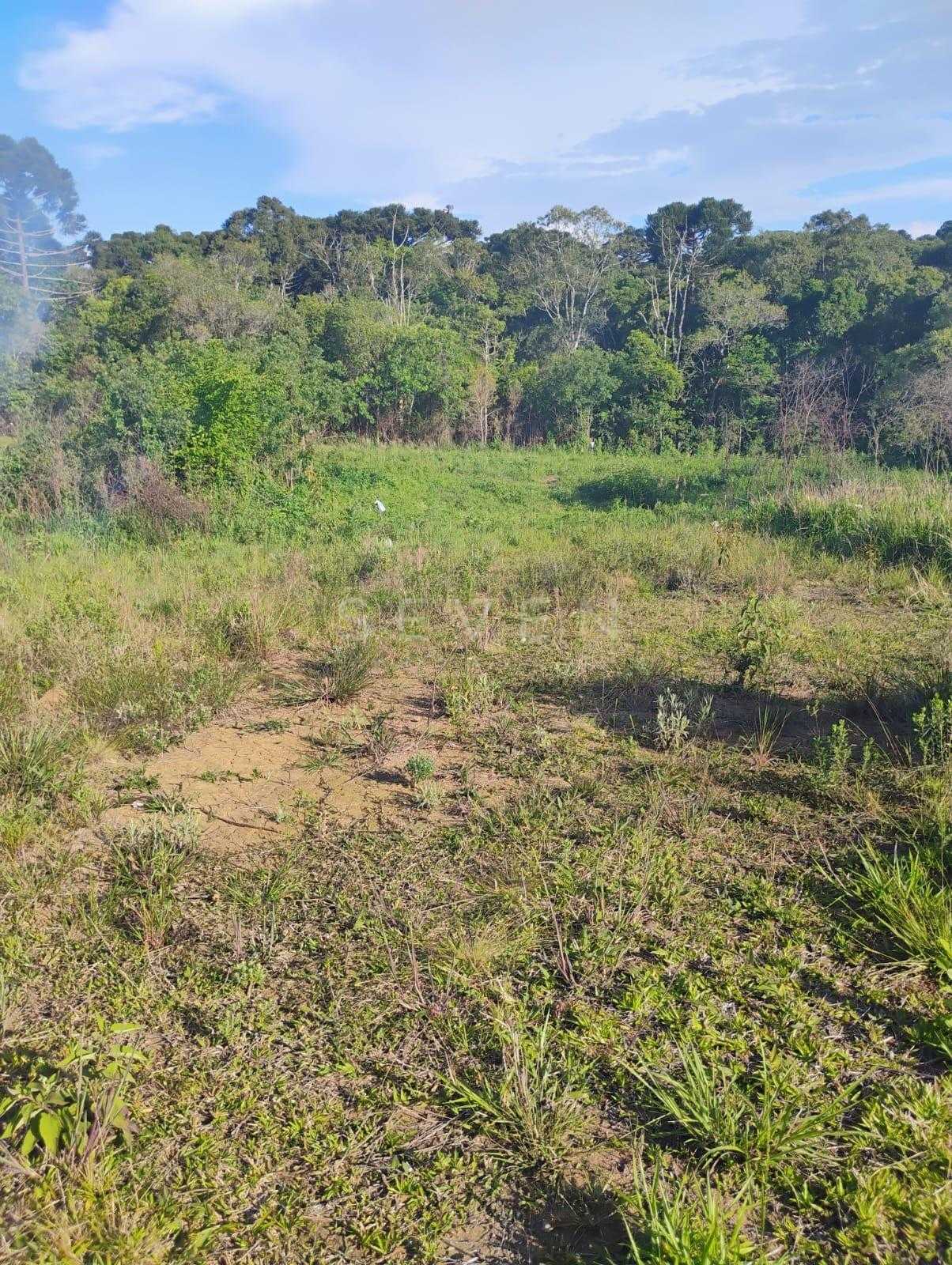 Terreno à venda em Quitandinha com 420,54 m  em Campina dos Pr...