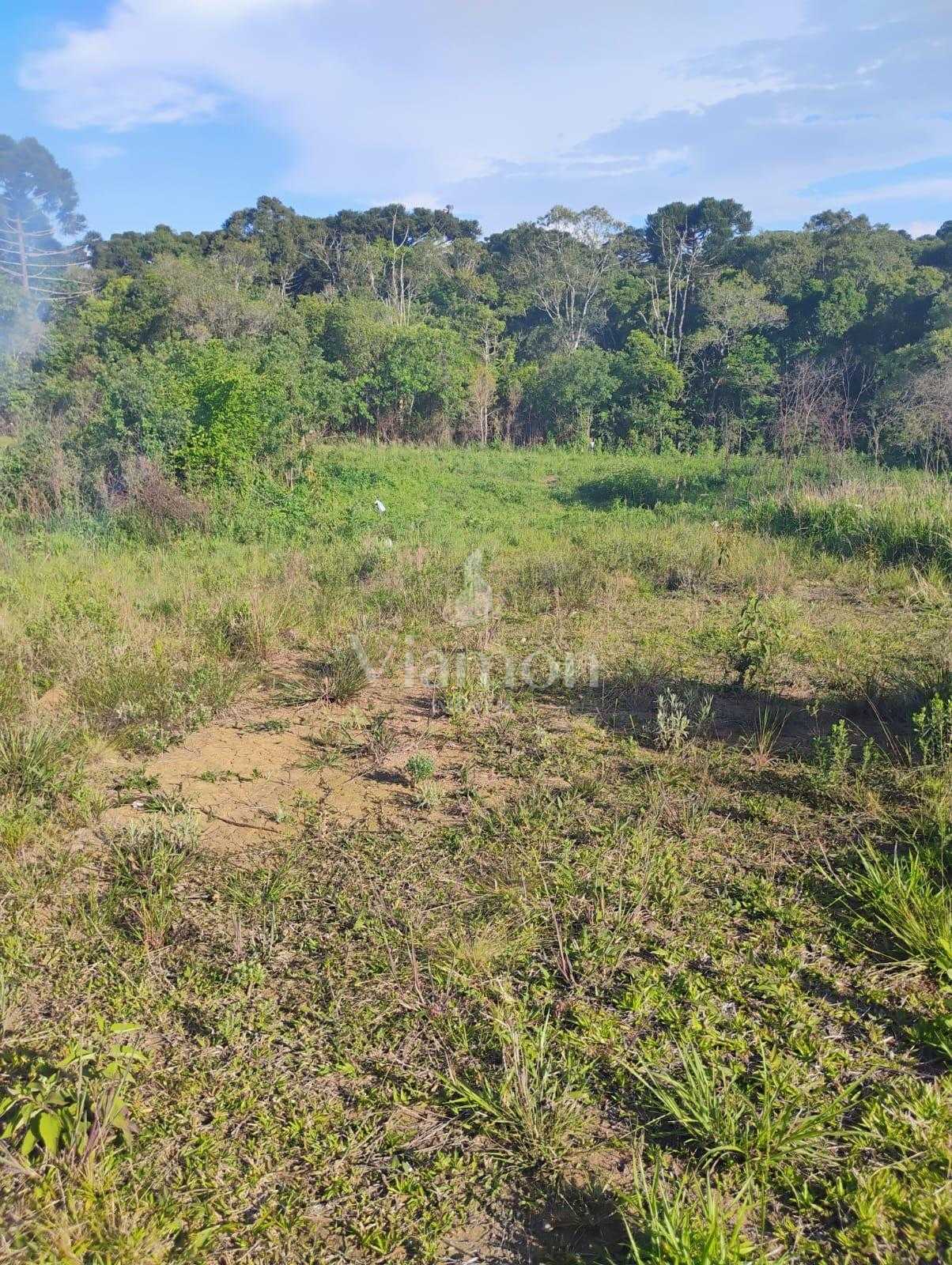 Terreno à venda em Quitandinha com 420,54 m  em Campina dos Pr...