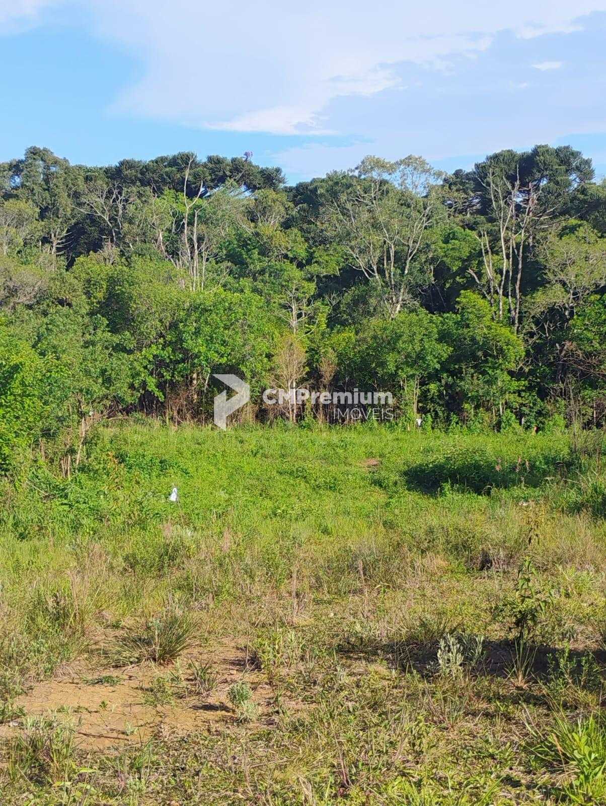 Terreno à venda em Quitandinha com 420,54 m  em Campina dos Pr...