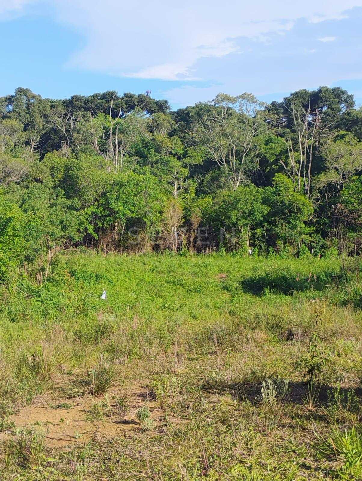 Terreno à venda em Quitandinha com 420,54 m  em Campina dos Pr...
