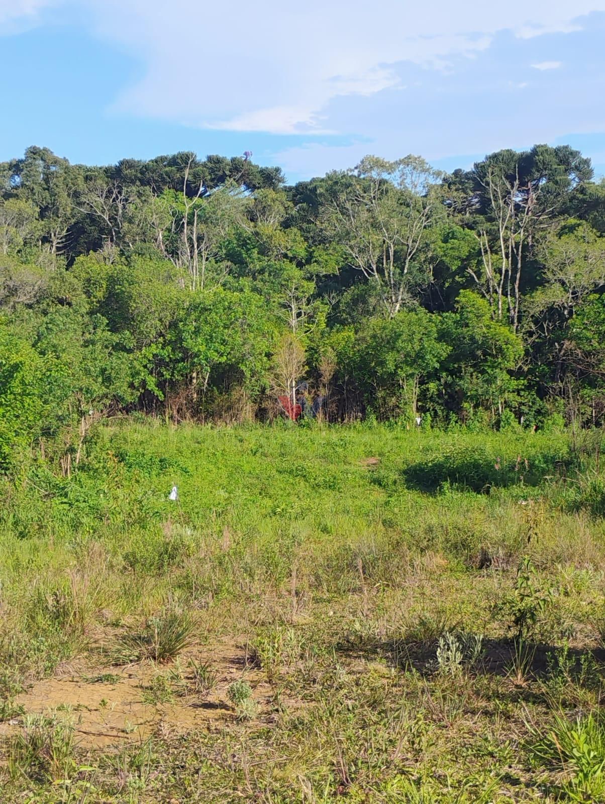 Terreno à venda em Quitandinha com 420,54 m  em Campina dos Pr...