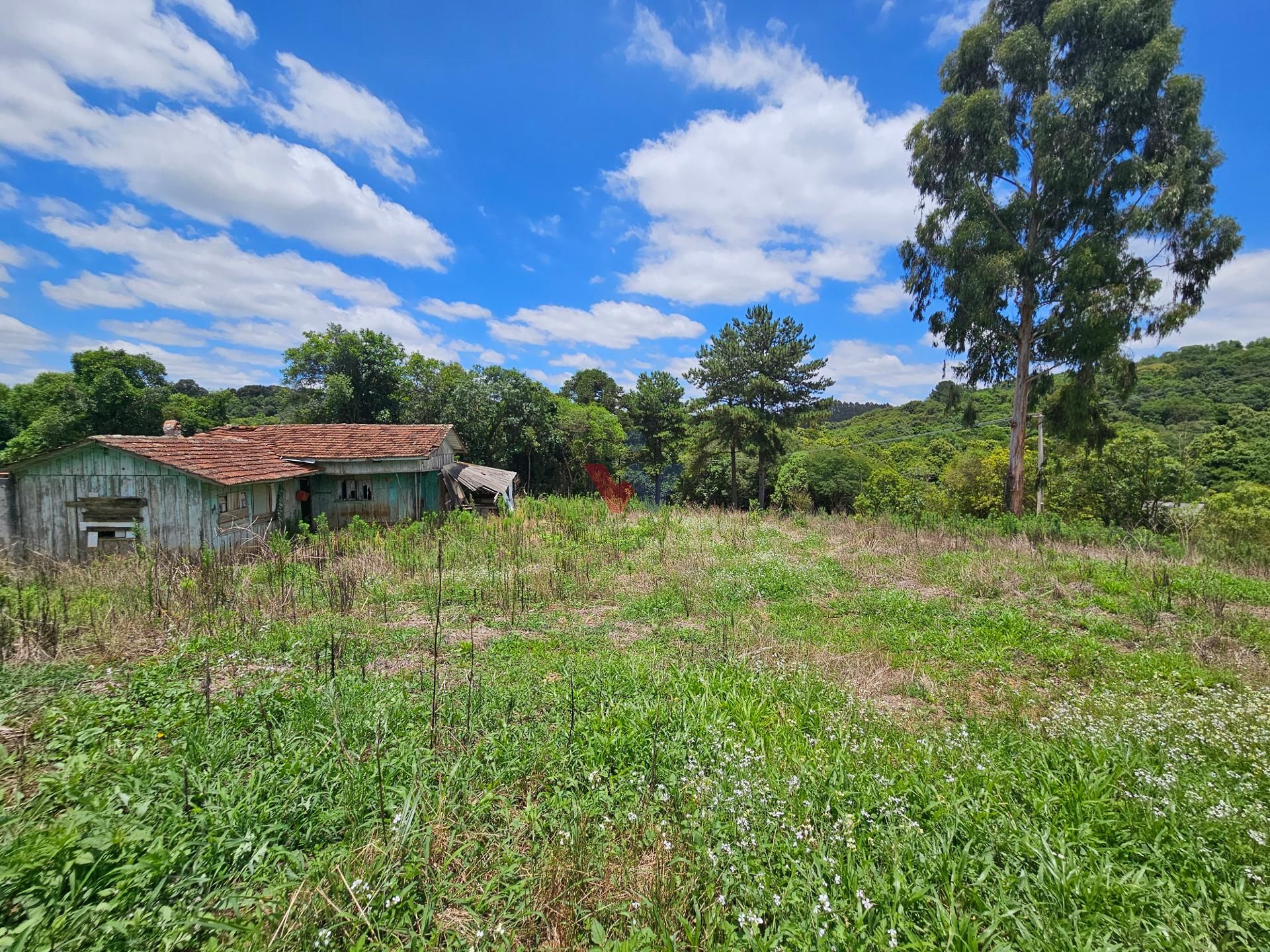 Chácara com 7.200 m  em Contenda a 24 km do centro Araucária, ...