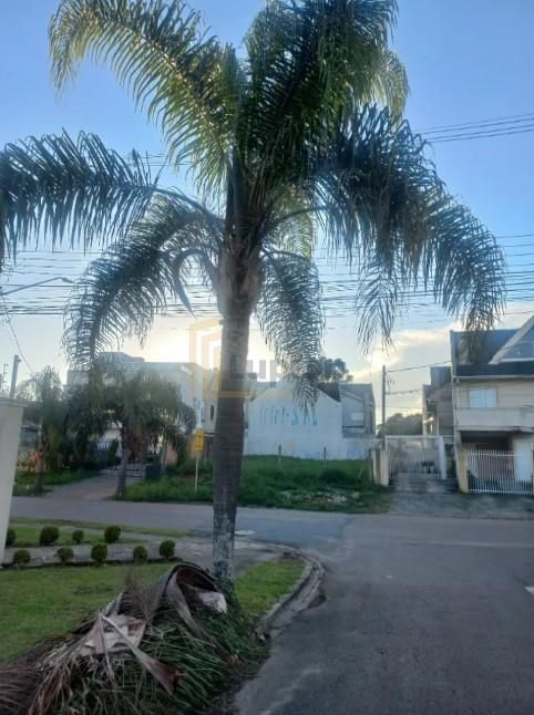 Terreno ZR2 à Venda em Santa Felicidade  Região Nobre e Alto P...