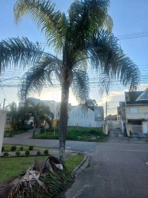 Terreno ZR2 à Venda em Santa Felicidade  Região Nobre e Alto P...