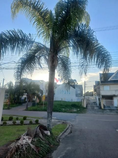 Terreno ZR2 à Venda em Santa Felicidade  Região Nobre e Alto P...