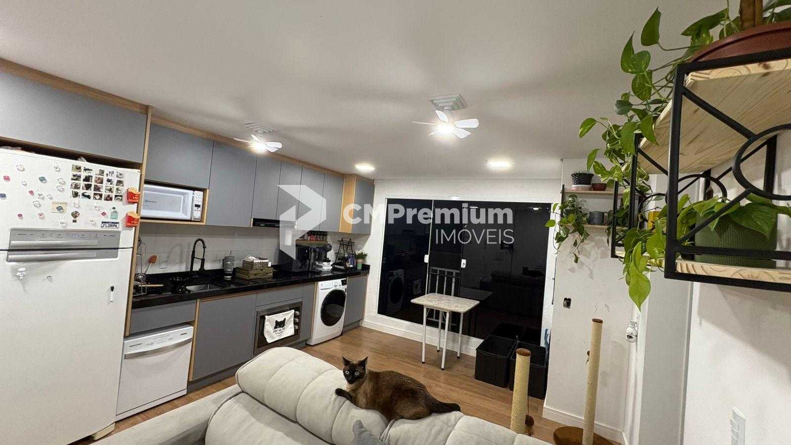 Apartamento com 2 dormitórios à venda, campina da barra, ARAUC...